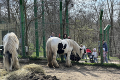 Grădina Zoologică Galați 48