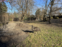 Grădina Zoologică Municipală din Varșovia 120