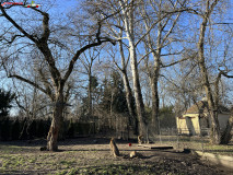 Grădina Zoologică Municipală din Varșovia 126