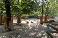 Grădina Zoologică Oradea 15