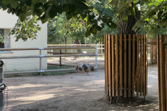 Grădina Zoologică Oradea 17