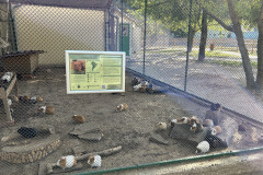 Grădina Zoologică Oradea 21