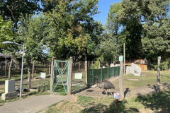 Grădina Zoologică Oradea 35