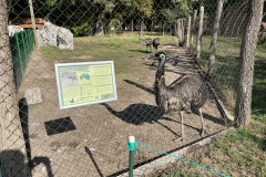 Grădina Zoologică Oradea 36