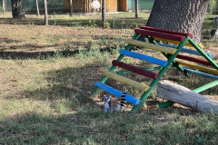 Grădina Zoologică Oradea 39