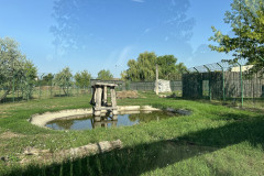 Grădina Zoologică Oradea 44