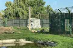 Grădina Zoologică Oradea 45