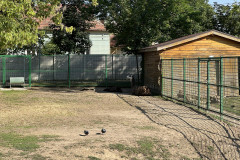 Grădina Zoologică Oradea 56