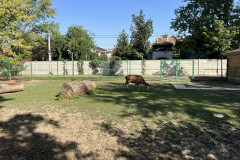 Grădina Zoologică Oradea 72