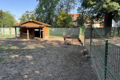Grădina Zoologică Oradea 75