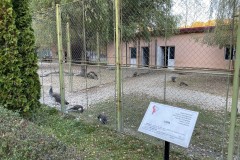 Grădina Zoologică Pitești 06