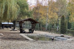 Grădina Zoologică Pitești 14