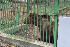 Grădina Zoologică Pitești 17