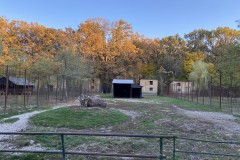 Grădina Zoologică Pitești 19