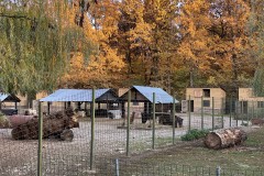 Grădina Zoologică Pitești 21