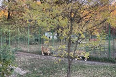 Grădina Zoologică Pitești 27