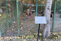 Grădina Zoologică Pitești 33