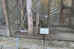 Grădina Zoologică Pitești 35