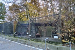 Grădina Zoologică Pitești 36