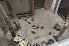 Grădina Zoologică Pitești 47