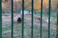 Grădina Zoologică Pitești 60