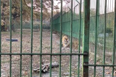 Grădina Zoologică Pitești 64