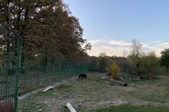 Grădina Zoologică Pitești 66