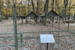 Grădina Zoologică Pitești 74