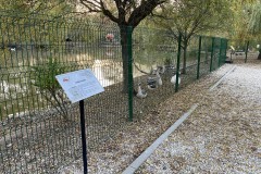 Grădina Zoologică Pitești 77