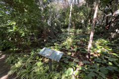 Huerto de Las Flores - Jardín Botánico de Agaete, Gran Canaria 14