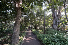 Huerto de Las Flores - Jardín Botánico de Agaete, Gran Canaria 18