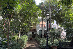 Huerto de Las Flores - Jardín Botánico de Agaete, Gran Canaria 20