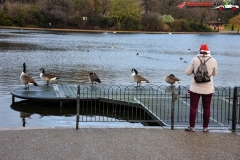 Hyde Park Londra, Anglia 63