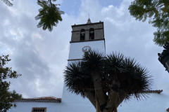 Iglesia Mayor de San Marcos, Tenerife 47