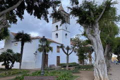 Iglesia Mayor de San Marcos, Tenerife 51