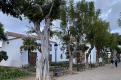 Iglesia Mayor de San Marcos, Tenerife 53