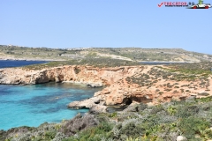 Insula Comino Malta 23