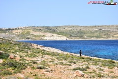 Insula Comino Malta 36