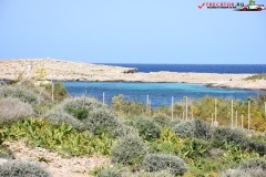 Insula Comino Malta 48