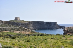 Insula Comino Malta 65