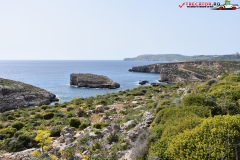 Insula Comino Malta 70