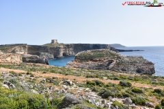 Insula Comino Malta 72