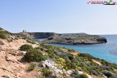 Insula Comino Malta 78