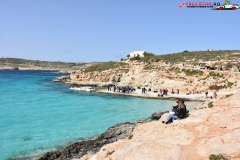 Insula Comino Malta 85