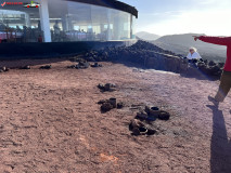 Islote de Hilario - Parque Natural del Timanfaya Lanzarote 11