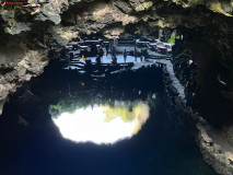 Jameos del Agua Lanzarote 14