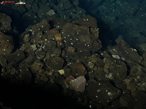 Jameos del Agua Lanzarote 17