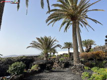 Jameos del Agua Lanzarote 55