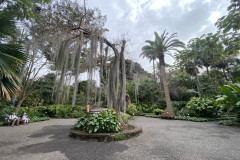 Jardín Botánico de la Orotava, Tenerife 09