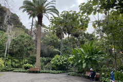 Jardín Botánico de la Orotava, Tenerife 10